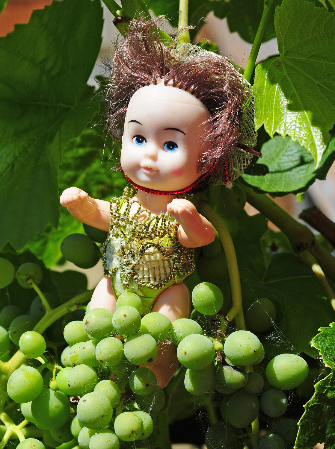 Go Girl Garden